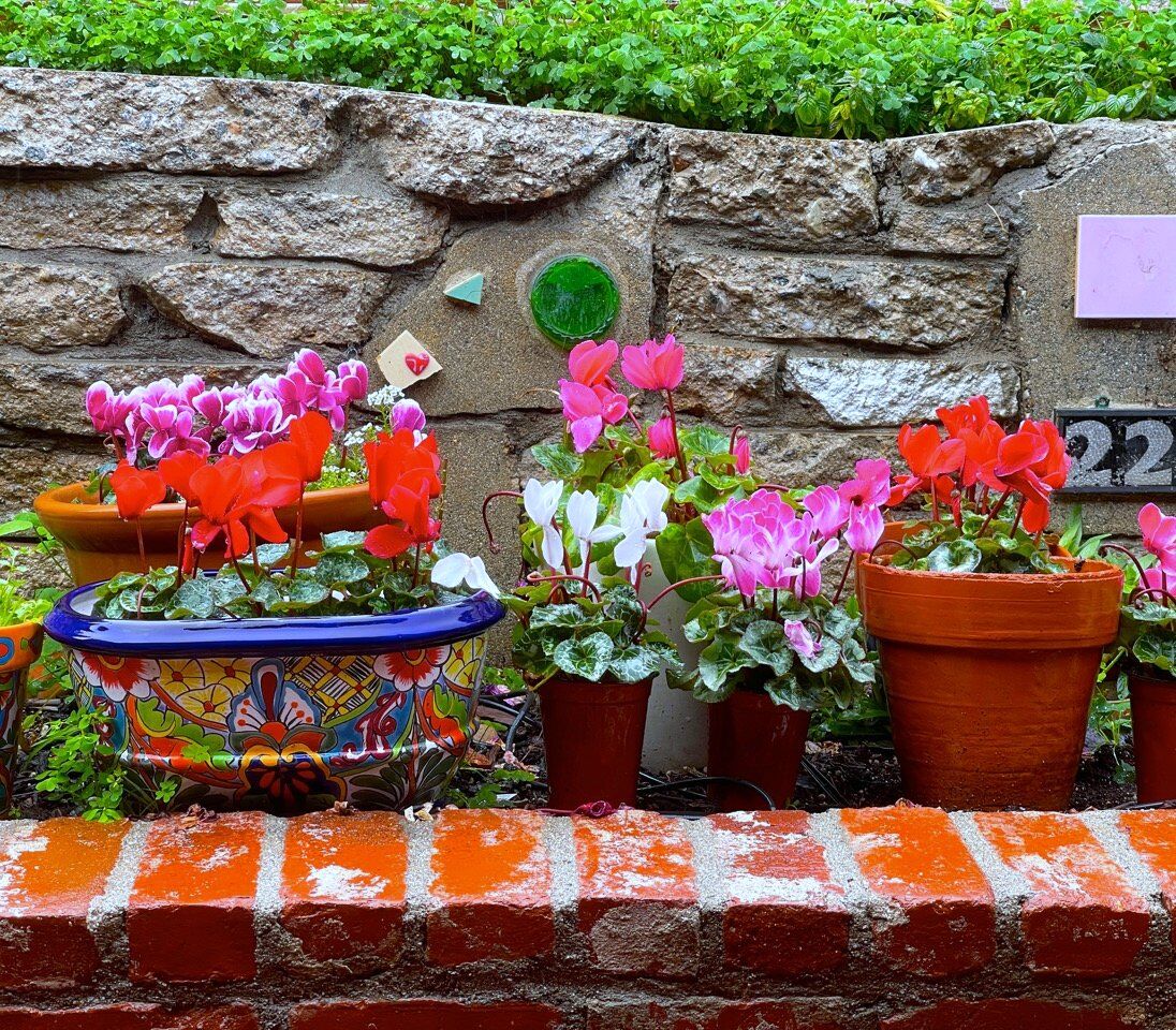 Silver Lake garden